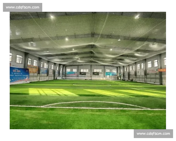 以体育场馆为核心推动城市活力与全民健身融合发展新格局新时代