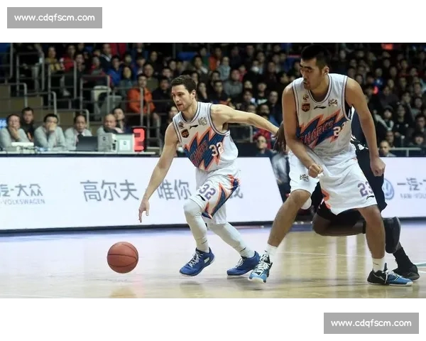 基于CBA技术统计说明的篮球数据分析与应用新视角体系构建与实践探索