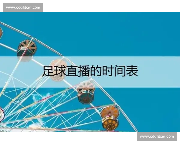 高清稳定流畅的足球直播APP下载平台全攻略最新赛事随时观看指南 - 副本 (10) - 副本